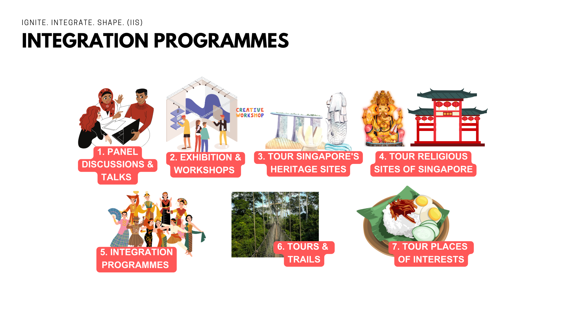 IGNITE. INTEGRATE. SHAPE. (IIS) - Integration Programmes